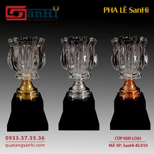 Cúp Kim Loại SanHi-KL010