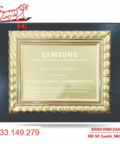 SanHi NK010G